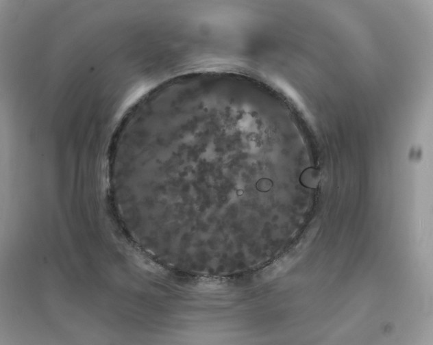 X0000094961267200711291432