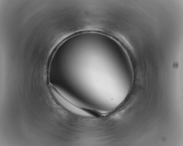 X0000094961268200711291432