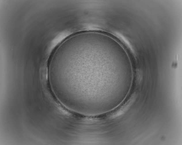 X0000094961269200711291432
