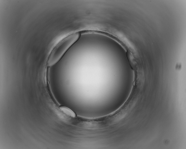 X0000094961272200711291432