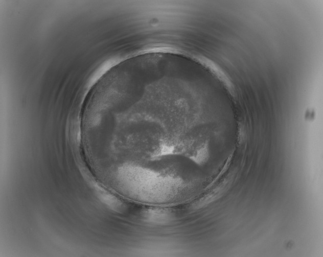 X0000094961274200711291432