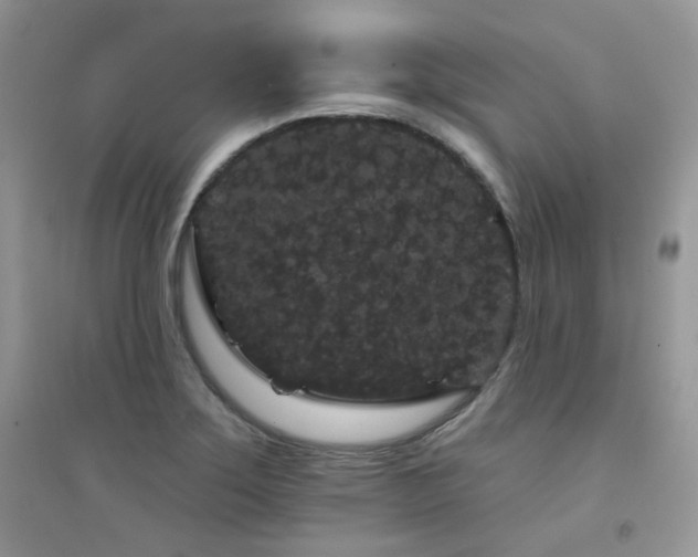 X0000094961275200711291432