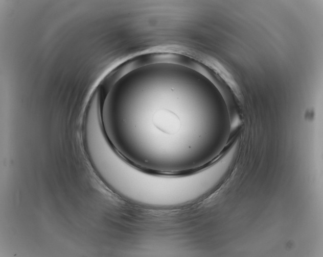 X0000094961276200711291432