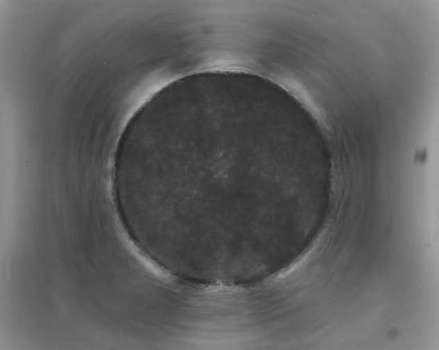 X0000094961277200711291432