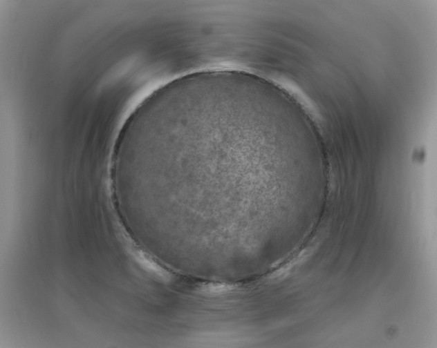 X0000094961278200711291432