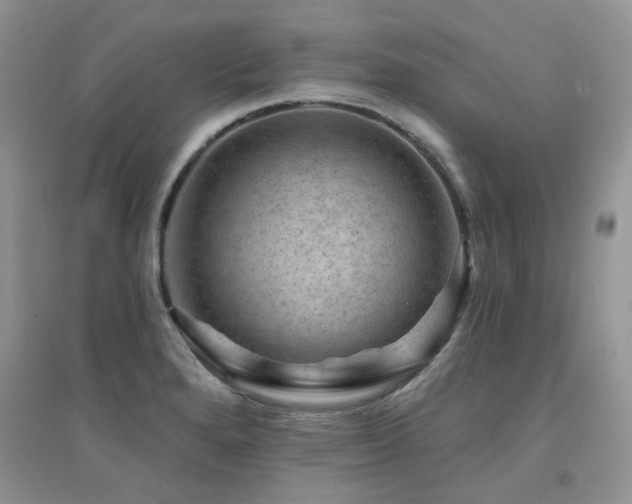 X0000094961280200711291432