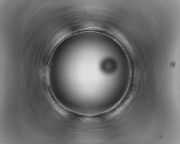 X0000094961281200711291432