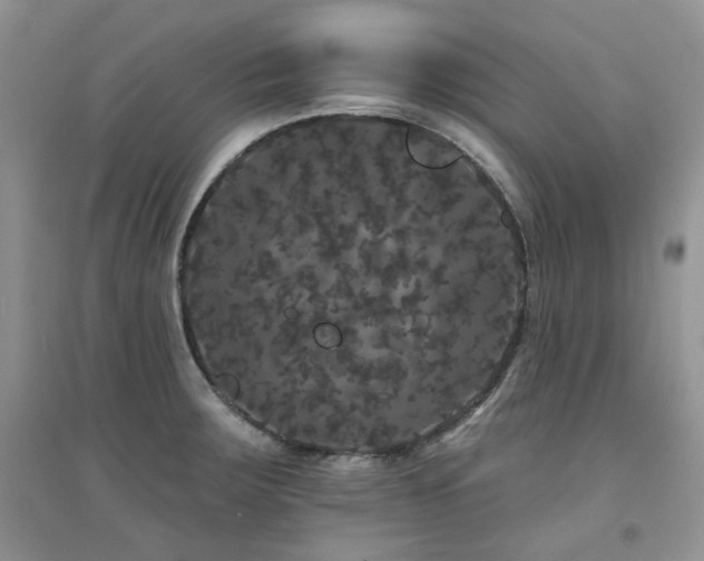 X0000094961283200711291432