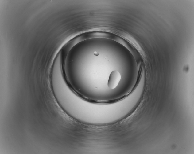 X0000094961284200711291432
