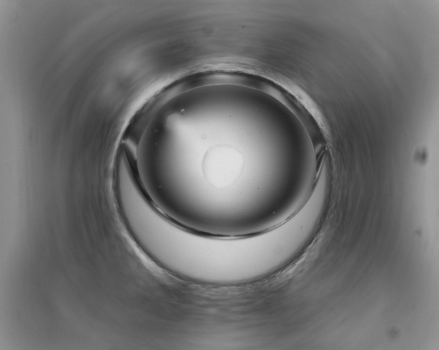 X0000094961285200711291432