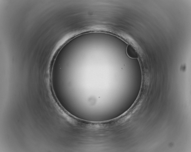 X0000094961286200711291432