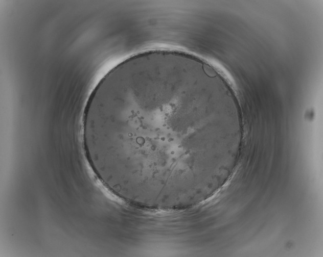 X0000094961287200711291432