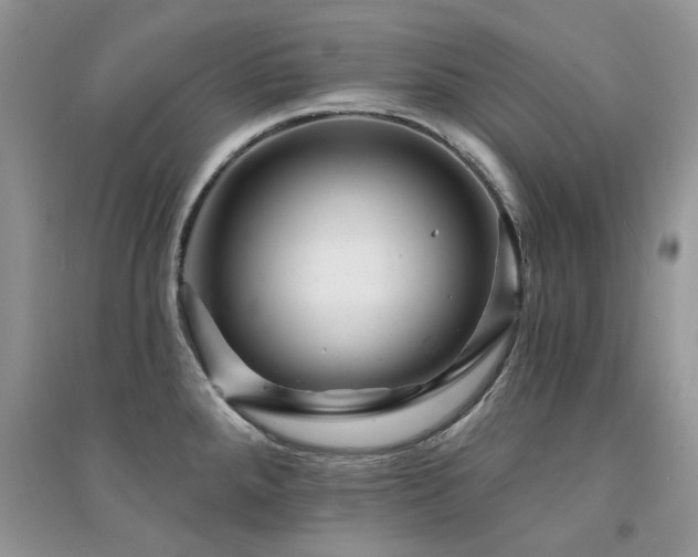 X0000094961288200711291432