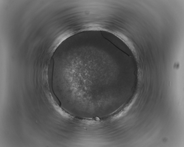 X0000094961289200711291432