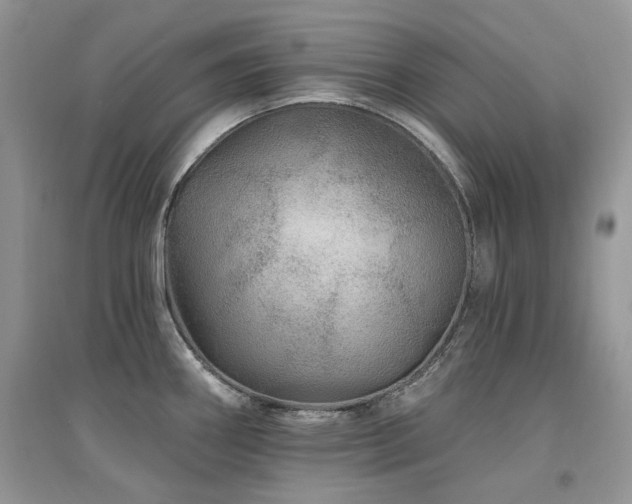 X0000094961290200711291432
