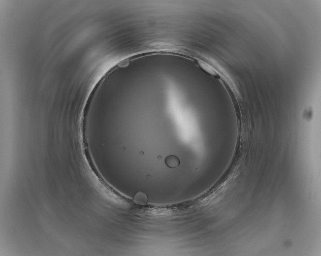 X0000094961291200711291432