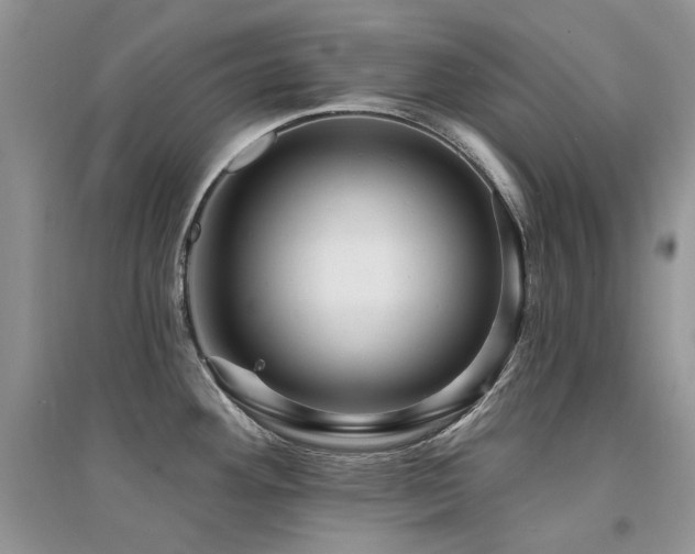 X0000094961292200711291432