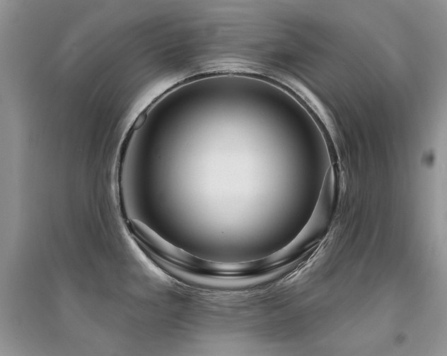 X0000094961293200711291432