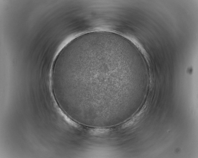 X0000094961294200711291432