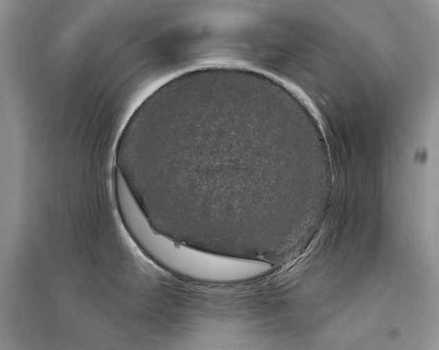 X0000094961295200711291432