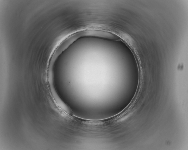 X0000094961296200711291432