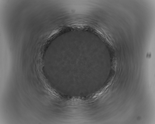 X0000094961297200711291431