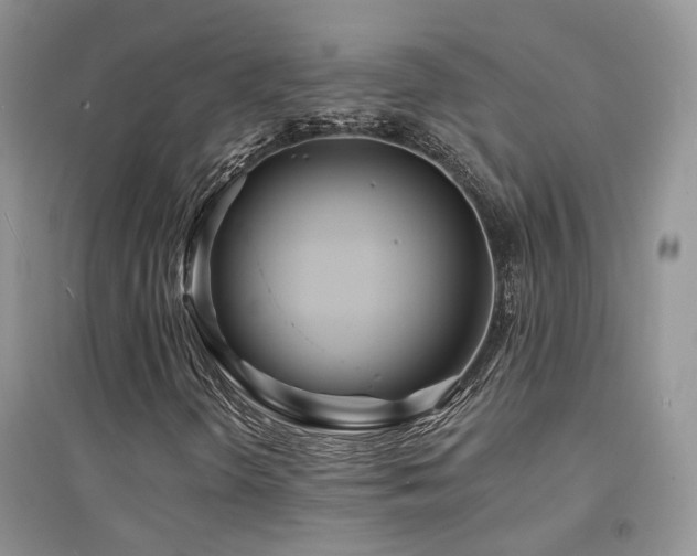 X0000094961298200711291431