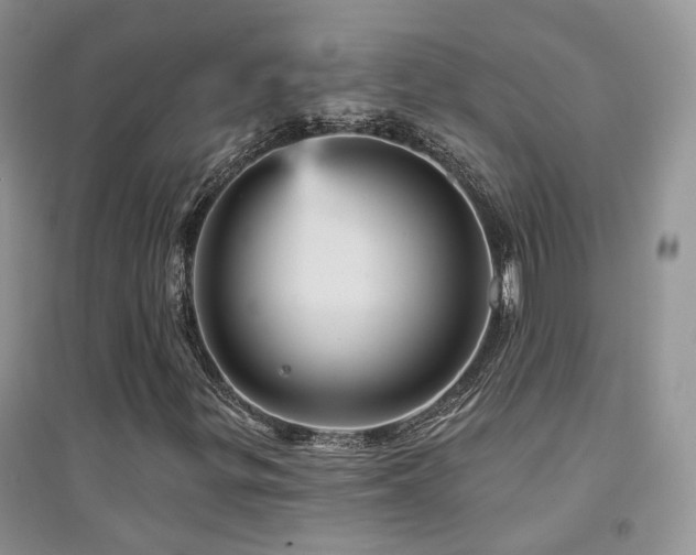 X0000094961299200711291431