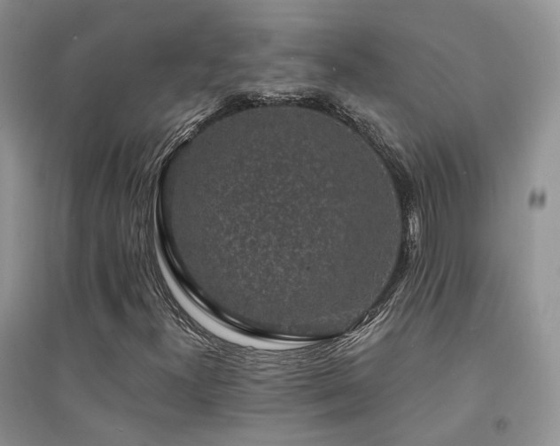 X0000094961300200711291431
