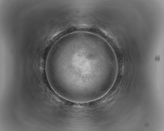 X0000094961301200711291431