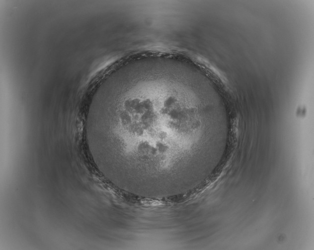 X0000094961302200711291431