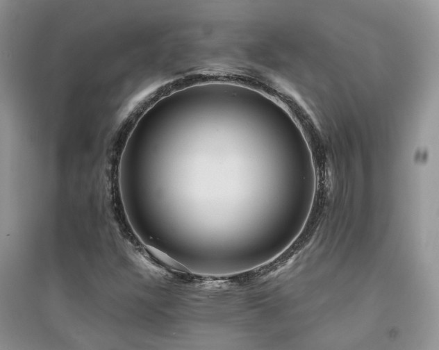X0000094961304200711291431