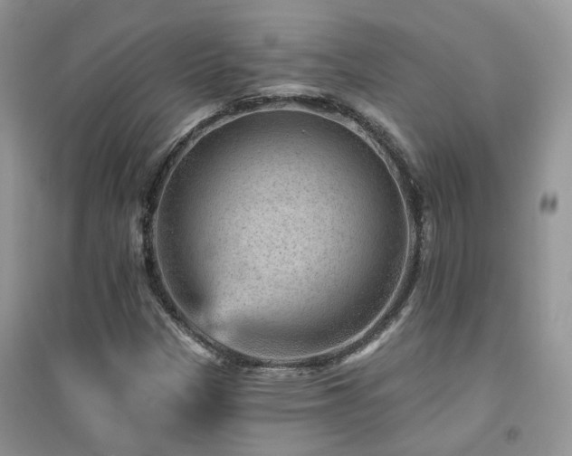 X0000094961305200711291431