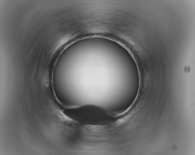 X0000094961306200711291431