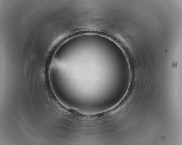 X0000094961307200711291431