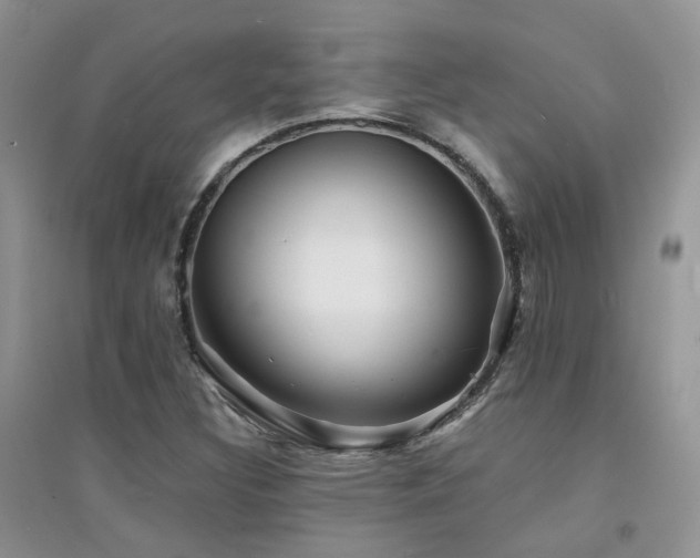 X0000094961308200711291431