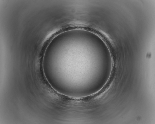 X0000094961309200711291431