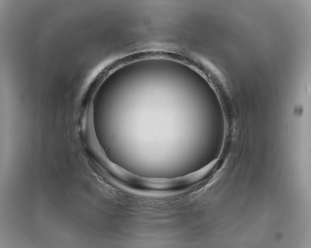 X0000094961310200711291431