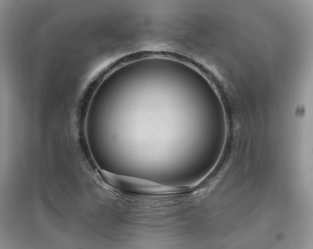 X0000094961311200711291431