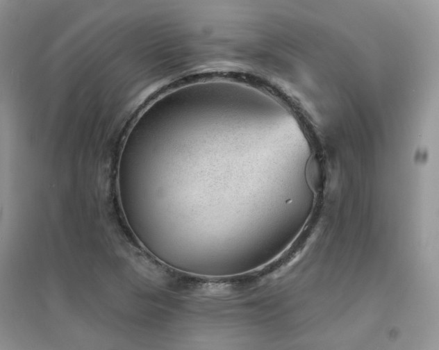 X0000094961313200711291431