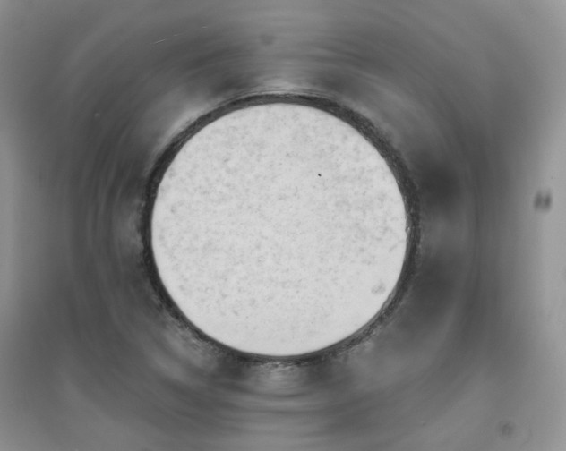 X0000094961314200711291431