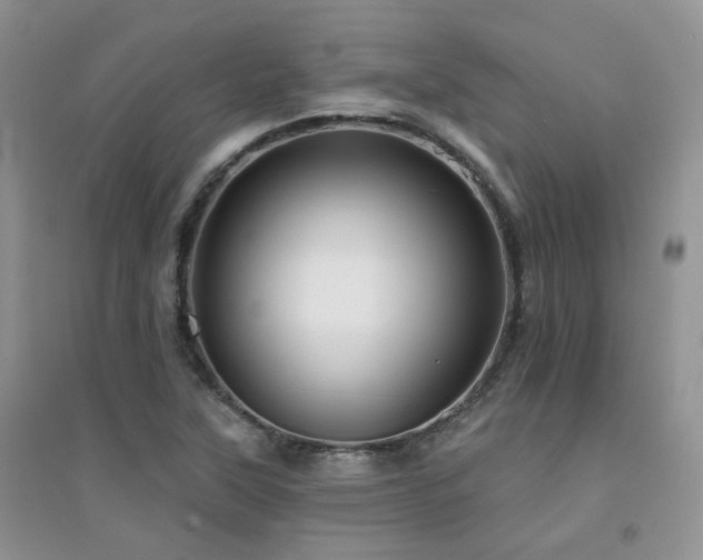 X0000094961315200711291431