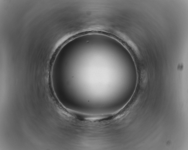 X0000094961316200711291431