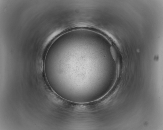 X0000094961317200711291431