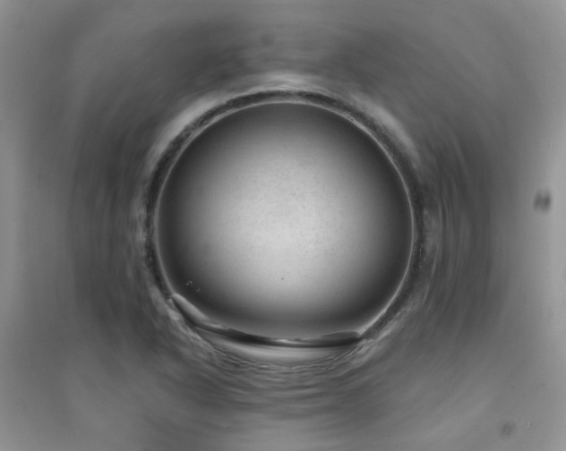 X0000094961318200711291431