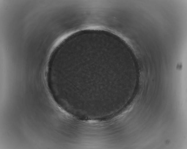 X0000094961319200711291431
