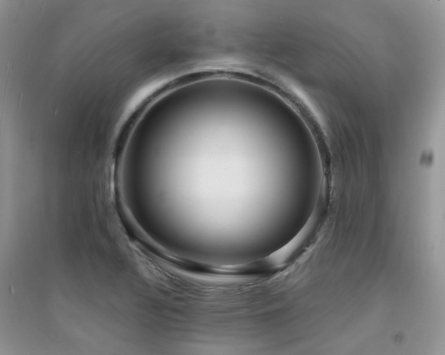 X0000094961320200711291431