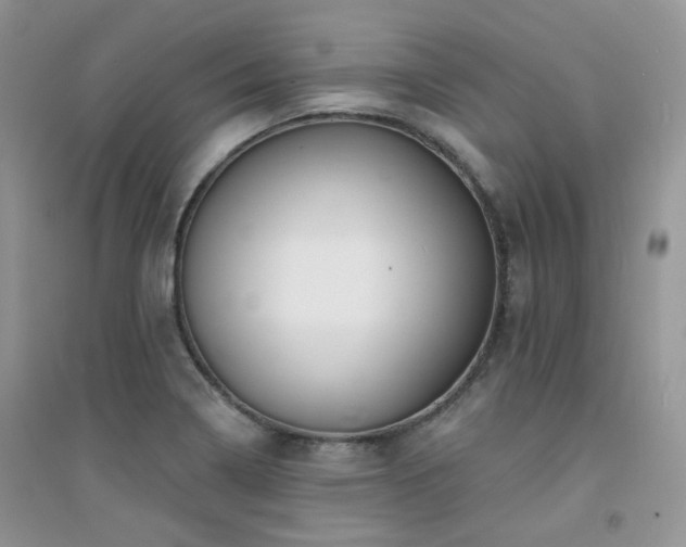 X0000094961322200711291431