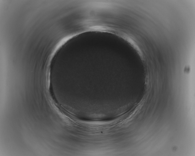 X0000094961323200711291431