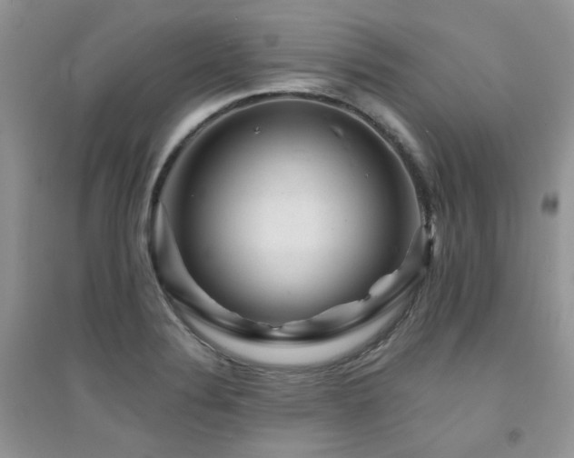 X0000094961324200711291431